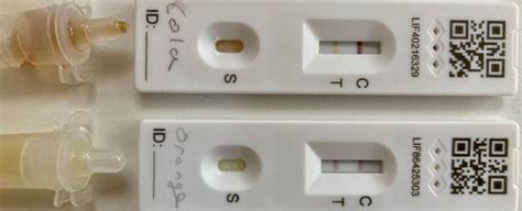 soft drink testing|drinks and covid test results.